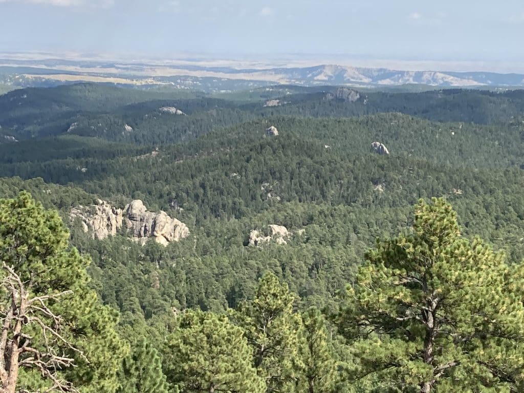 View of the Black Hills from Iron Mountain Road